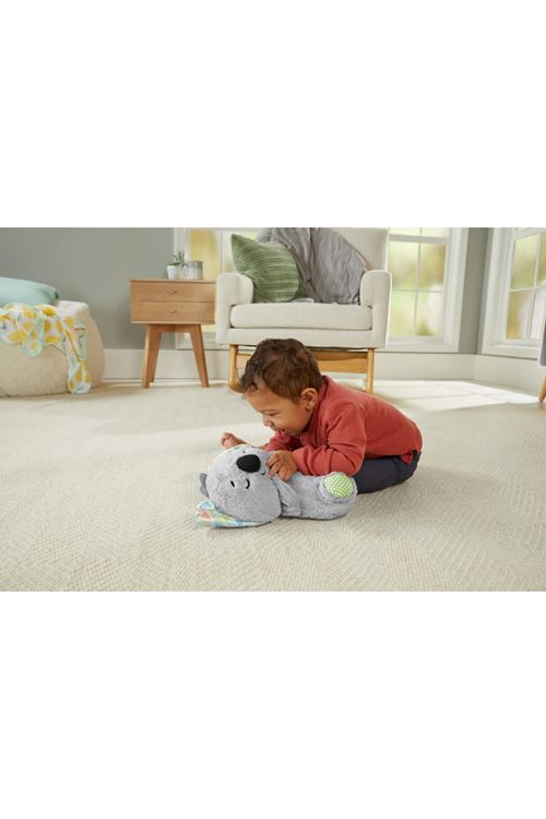 Fisher Price Uyku Arkadaşım Koala
