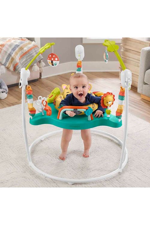 Fisher Price Işıklı Ve Sesli Sevimli Leopar Jumperoo Bebek Aktivite Merkezi
