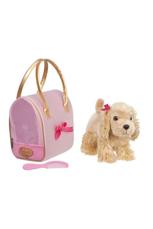 Pucci Pups C. Spaniel